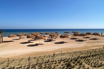 Why Marsa Alam's photosk